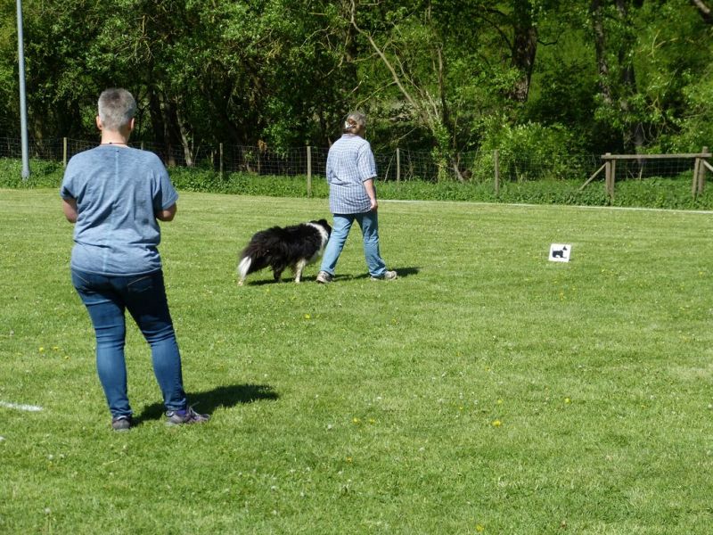 Obi-Pruefung 05/2018
