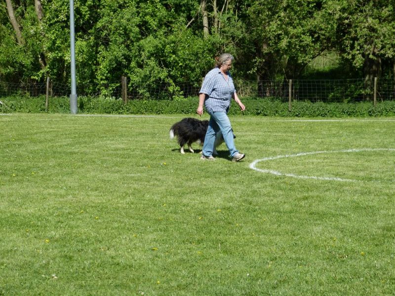 Obi-Pruefung 05/2018