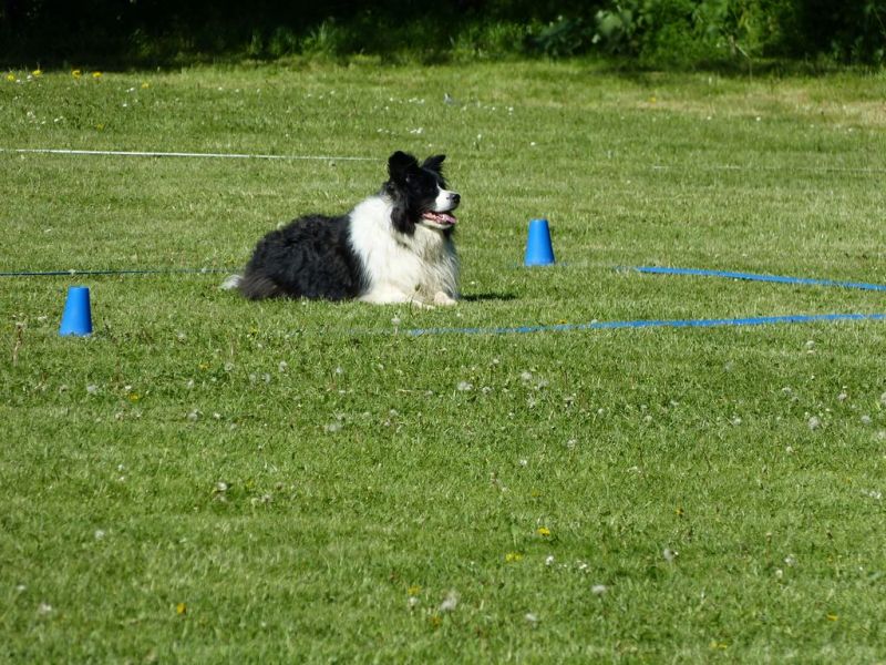 Obi-Pruefung 05/2018
