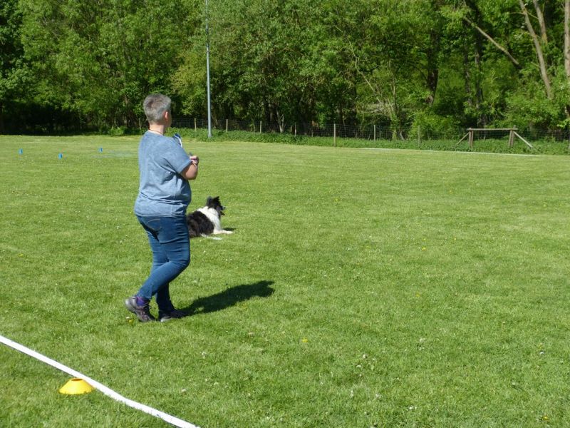 Obi-Pruefung 05/2018