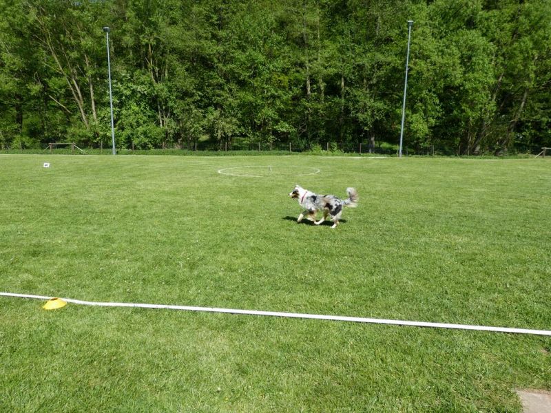 Obi-Pruefung 05/2018