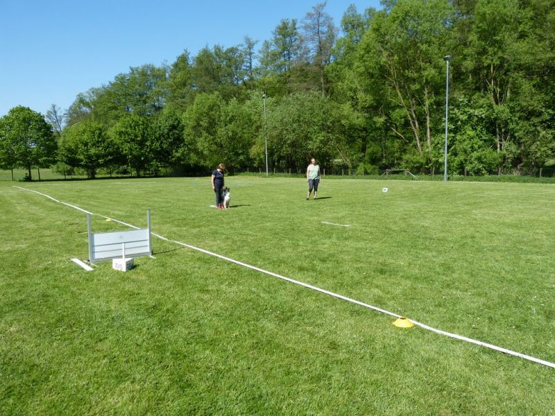 Obi-Pruefung 05/2018