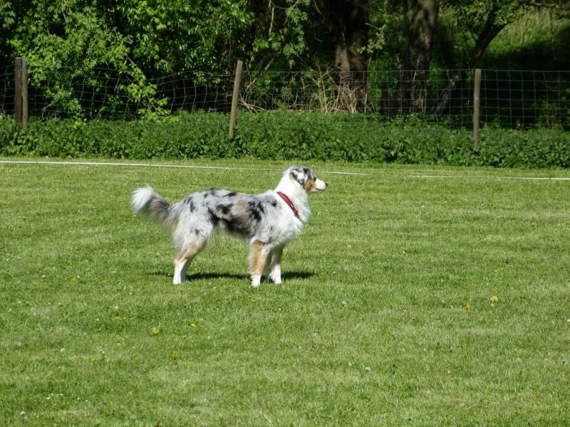 Obi-Pruefung 05/2018