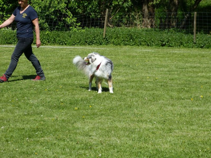 Obi-Pruefung 05/2018