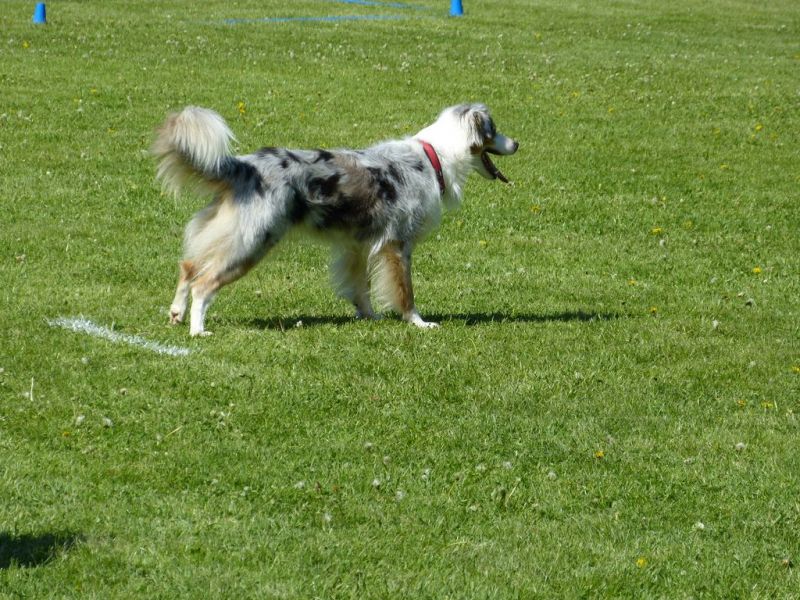 Obi-Pruefung 05/2018