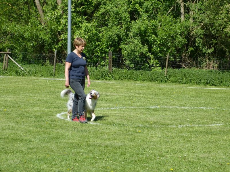 Obi-Pruefung 05/2018