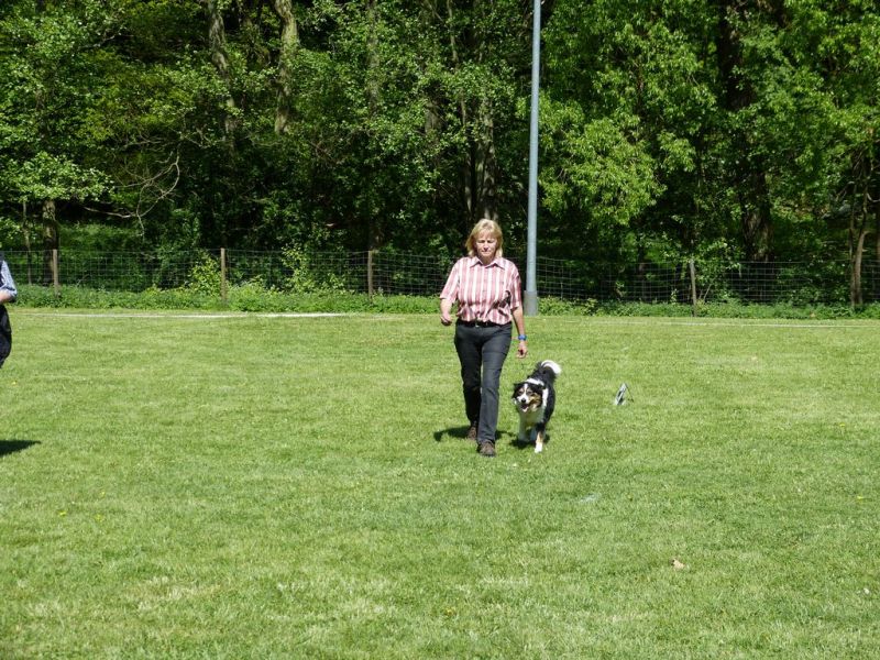 Obi-Pruefung 05/2018