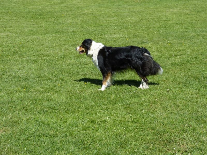 Obi-Pruefung 05/2018
