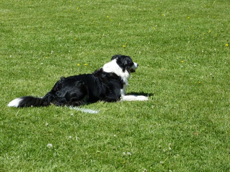 Obi-Pruefung 05/2018