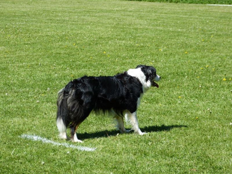 Obi-Pruefung 05/2018