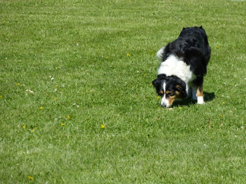 Obi-Pruefung 05/2018