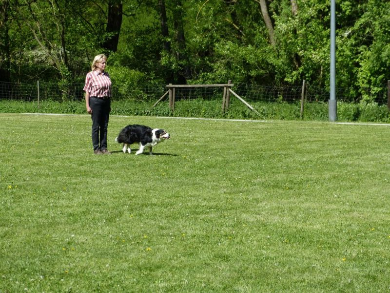 Obi-Pruefung 05/2018