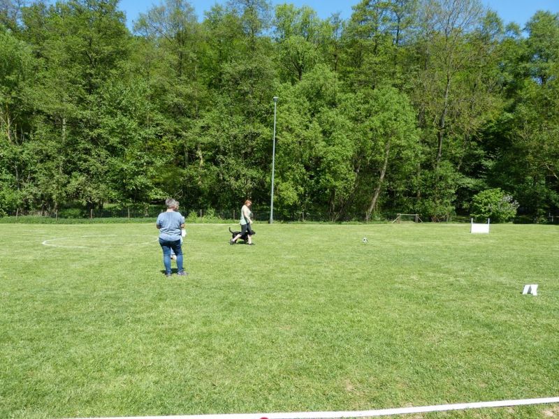 Obi-Pruefung 05/2018