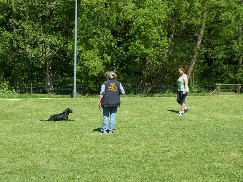 Obi-Pruefung 05/2018