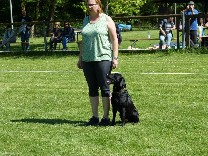 Obi-Pruefung 05/2018
