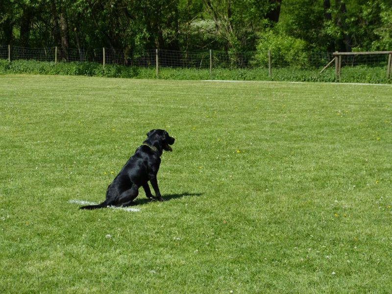 Obi-Pruefung 05/2018
