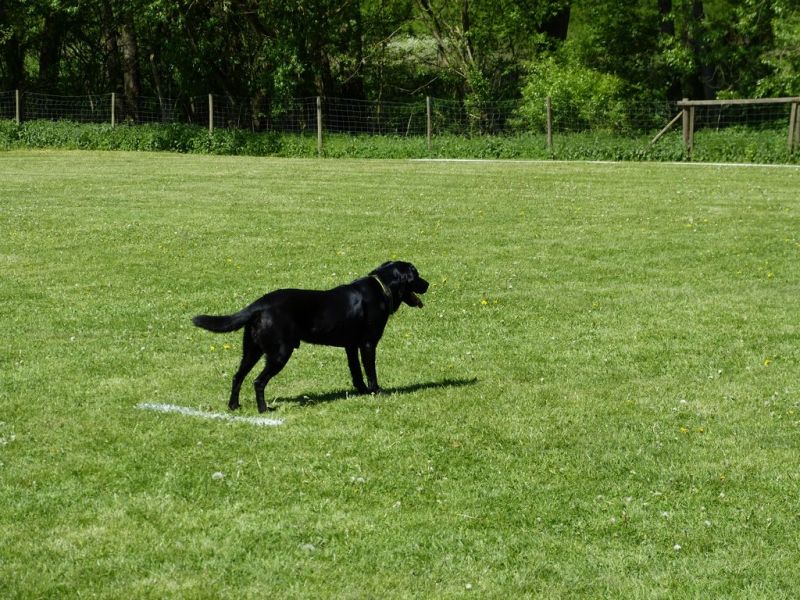 Obi-Pruefung 05/2018