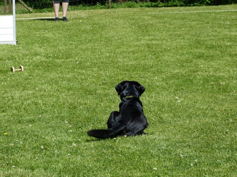 Obi-Pruefung 05/2018
