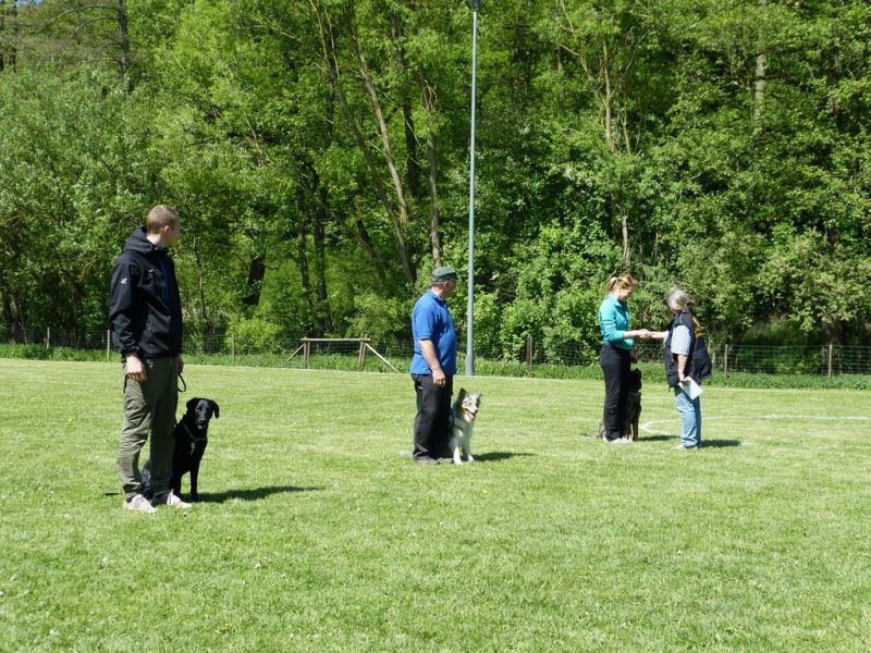Obi-Pruefung 05/2018