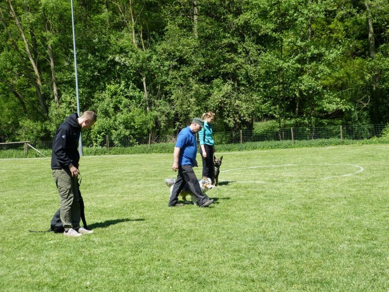 Obi-Pruefung 05/2018
