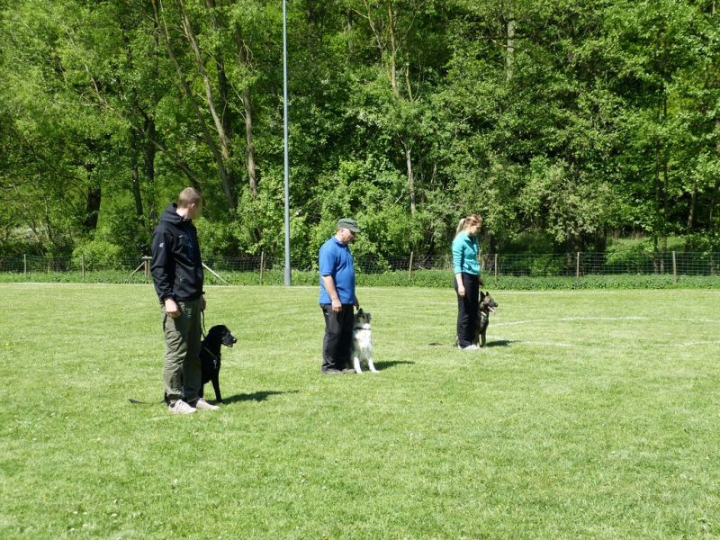 Obi-Pruefung 05/2018