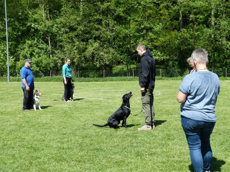 Obi-Pruefung 05/2018