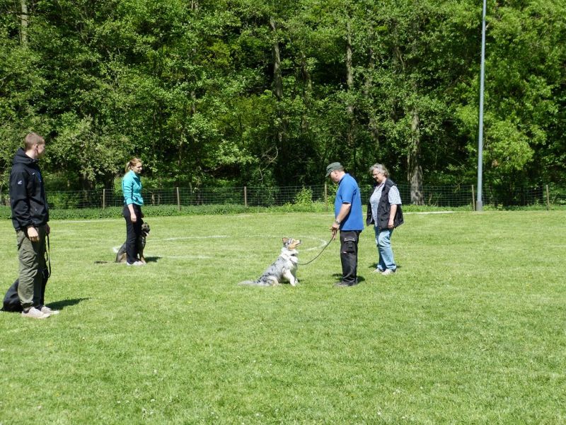 Obi-Pruefung 05/2018