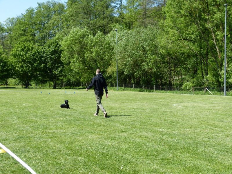 Obi-Pruefung 05/2018