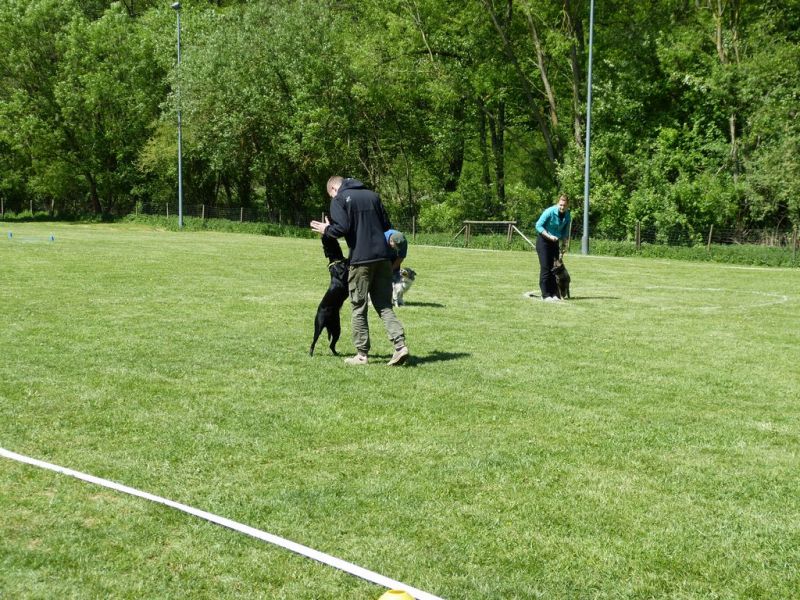 Obi-Pruefung 05/2018