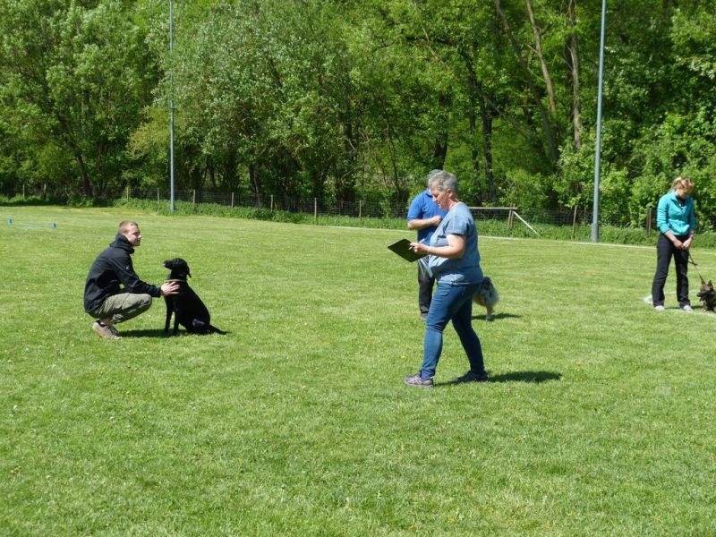 Obi-Pruefung 05/2018