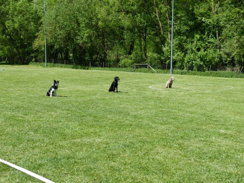 Obi-Pruefung 05/2018