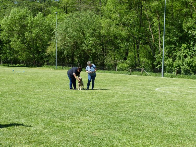Obi-Pruefung 05/2018