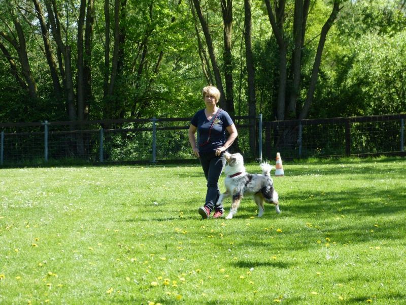 Obi-Pruefung 05/2018