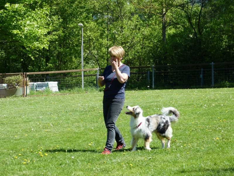 Obi-Pruefung 05/2018