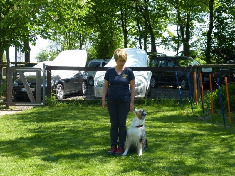 Obi-Pruefung 05/2018