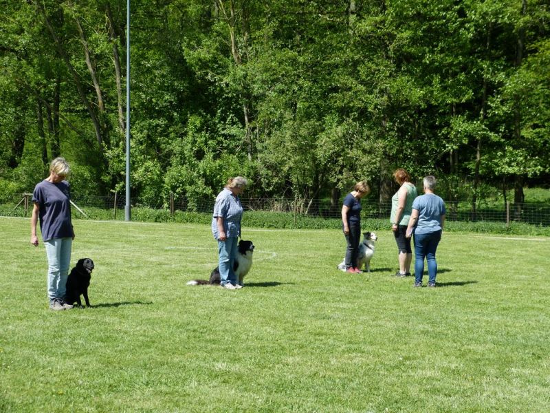 Obi-Pruefung 05/2018