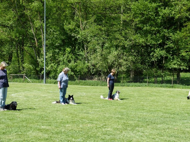 Obi-Pruefung 05/2018