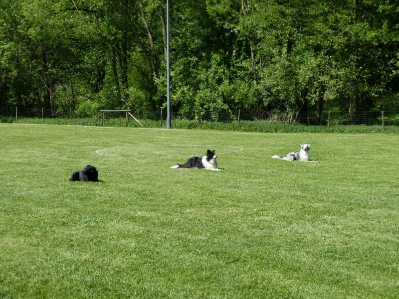 Obi-Pruefung 05/2018