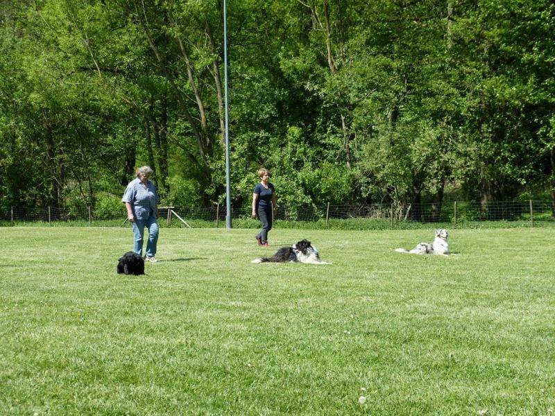 Obi-Pruefung 05/2018
