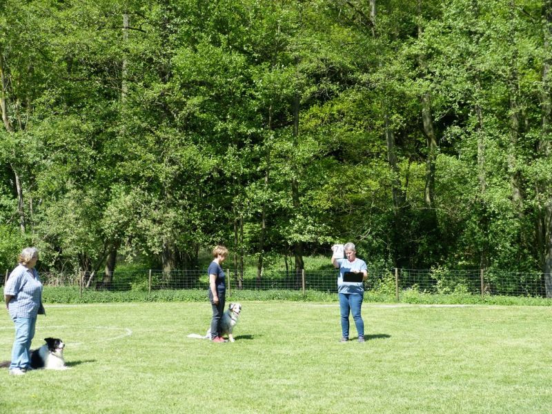 Obi-Pruefung 05/2018