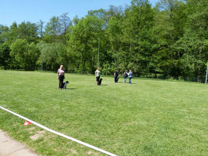 Obi-Pruefung 05/2018