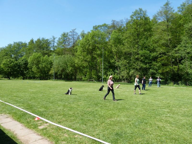 Obi-Pruefung 05/2018