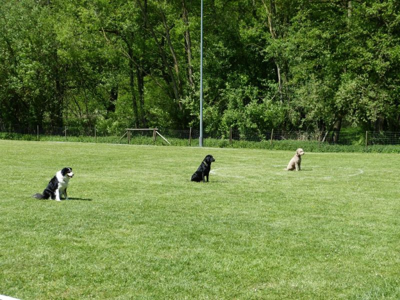 Obi-Pruefung 05/2018