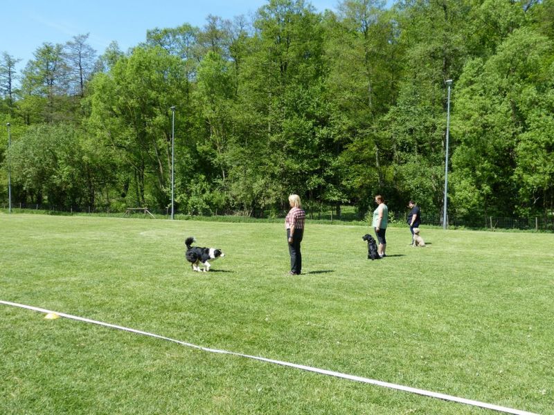 Obi-Pruefung 05/2018