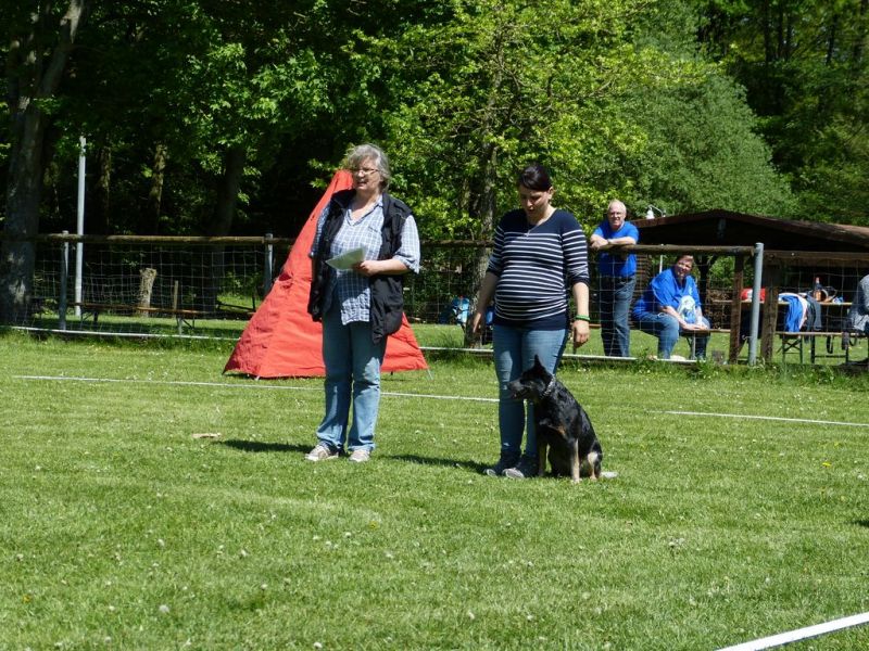 Obi-Pruefung 05/2018