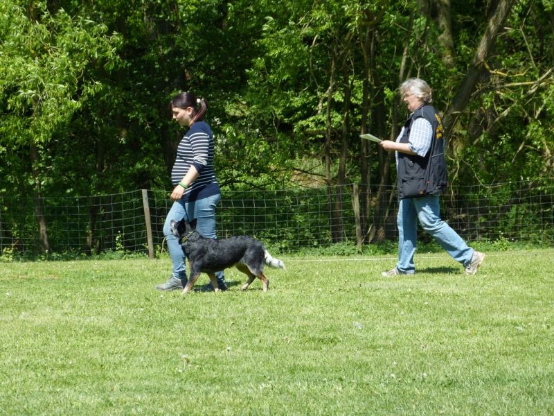 Obi-Pruefung 05/2018