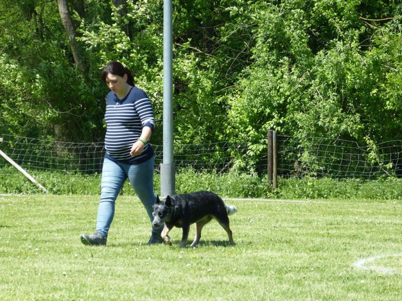 Obi-Pruefung 05/2018
