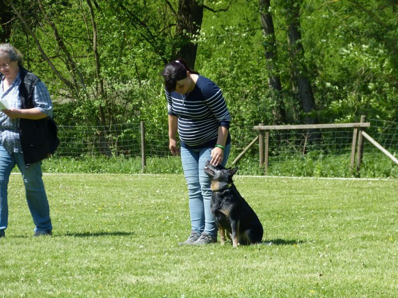 Obi-Pruefung 05/2018