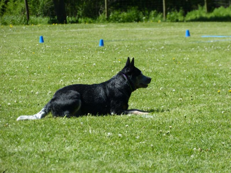 Obi-Pruefung 05/2018