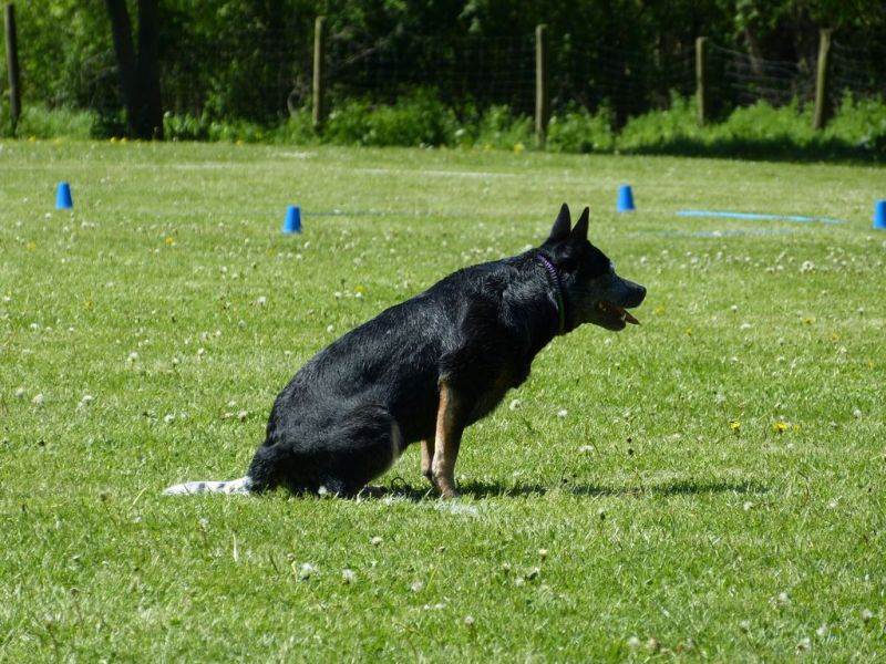 Obi-Pruefung 05/2018